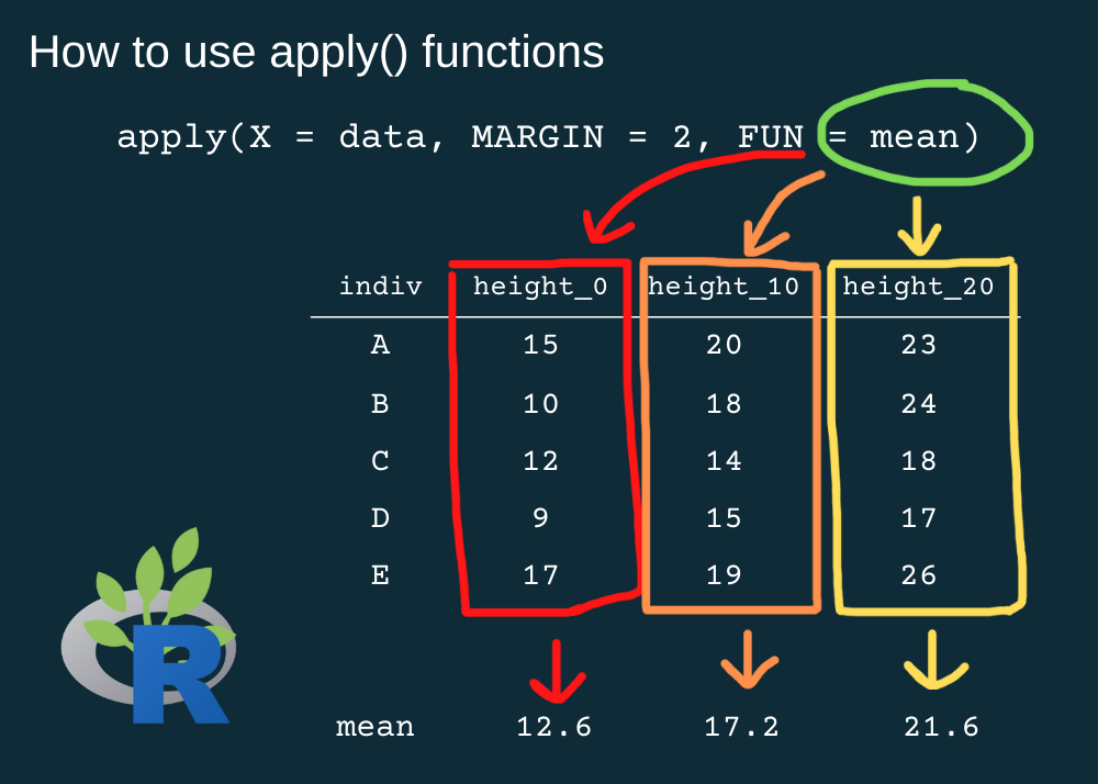 Image of code saying apply the mean function across the columns of this data frame. There are arrows pointing from the code to each of the table columns. It also shows the output of the function