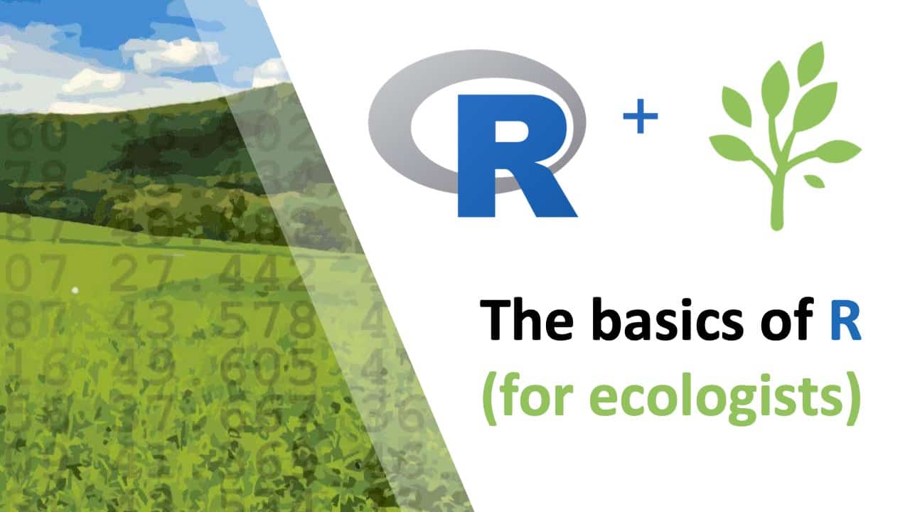 A landscape made of numbers on the left, and to the right is the R for Ecology logo with 'the basics of R (for ecologists)' written below.