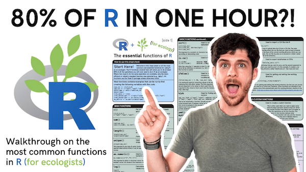 Video thumbnail of tutorial on the essentials of R cheatsheet. Words say “80% of R in one hour?!