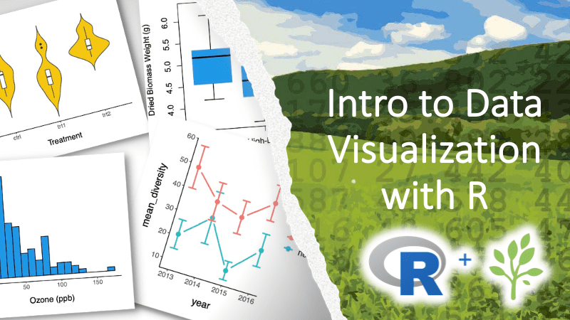 A few example data visualizations on the left and to the right there is a landscape made of numbers, with the text 'Intro to Data Visualization with R' written on top. Below that is the R for Ecology logo