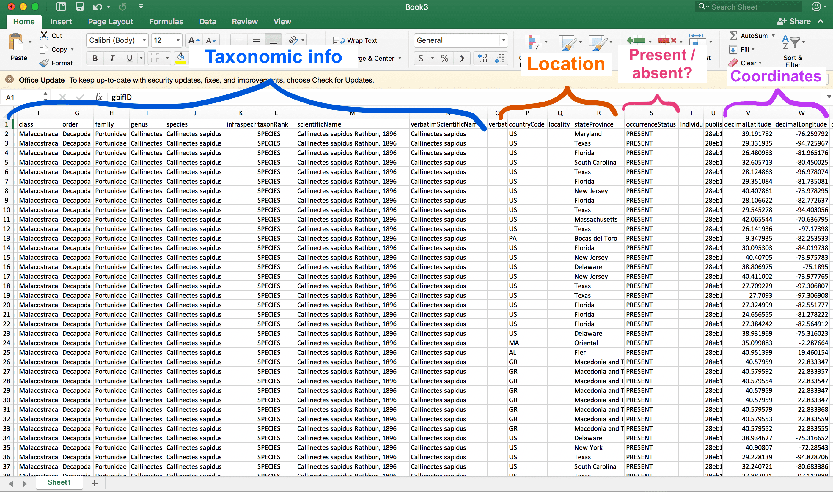 Image of occurrence data open in Microsoft Excel. The columns that are visible describe taxonomic information and the countries, provinces, and coordinates where blue crabs were observed. There’s also a column that indicates whether the species was recorded as present or absent.
