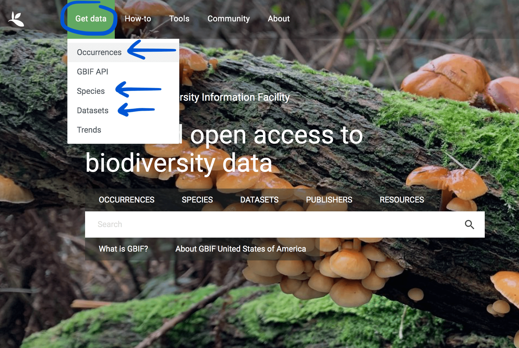 Image showing the drop down menu called “Get data”, with arrows pointing to the occurrences, species, and datasets options.