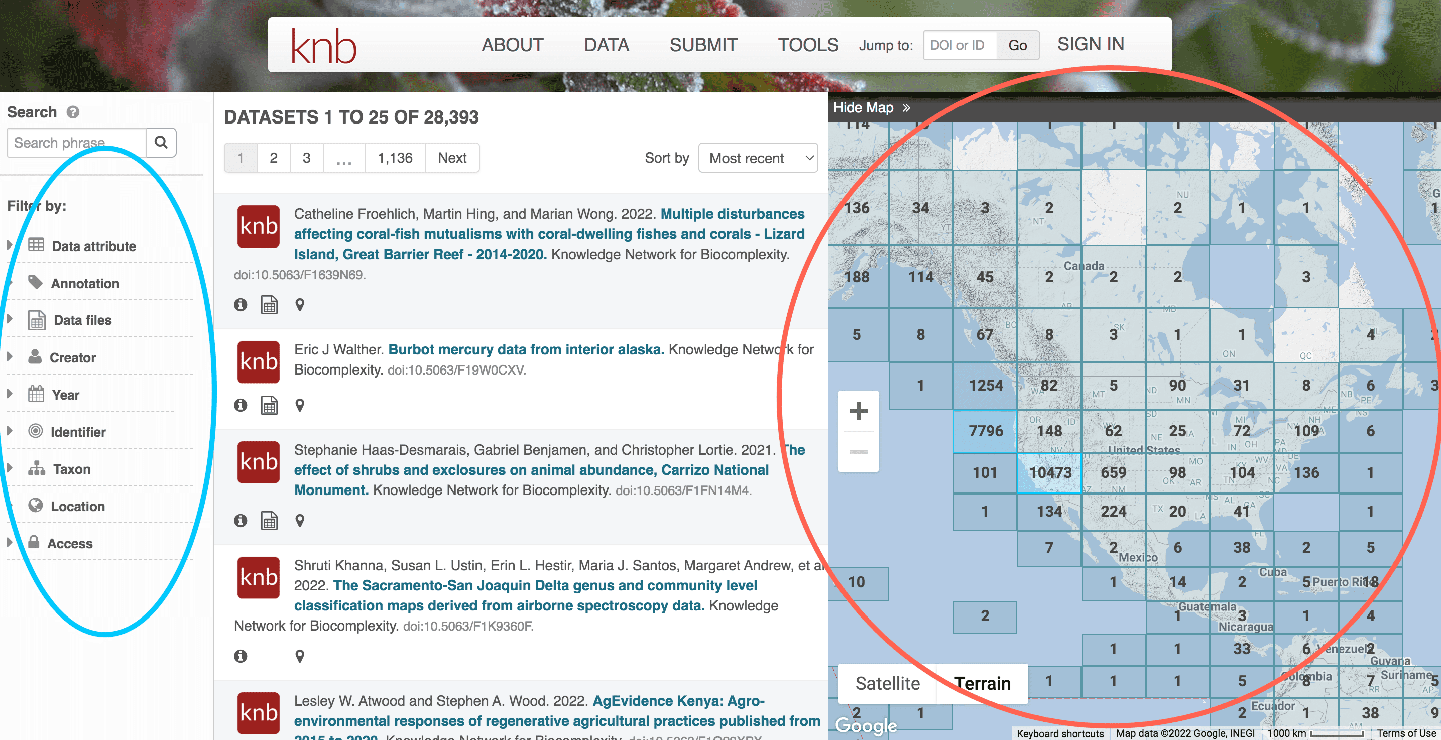 Image of three panel search screen for the KNB data portal. The left side shows ways you can filter your search. The middle panel shows search results. The right side is an interactive world map with data sets grouped into a geographic grid.