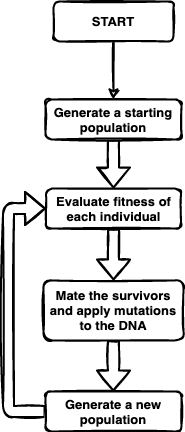 flowchart showing how evolutionary algorithms begin by generating a population, then the fitness of each individual is evaluated, then the survivors are mated and mutations are applied to their offspring, and this finally creates a new generation. An arrow from their loops back to evaluating the fitness of each indivudual again