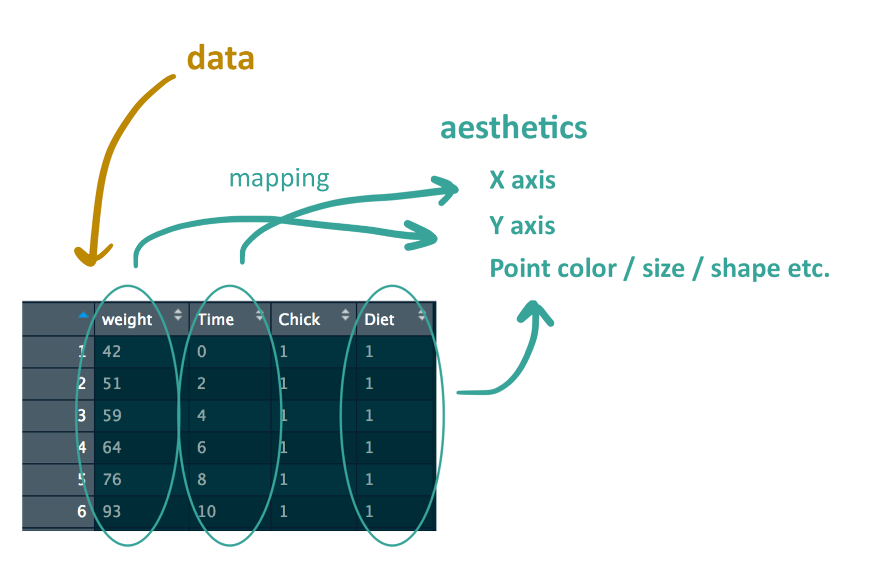 Image showing that we want to map time to the X axis, weight to the Y axis, and diet to point color.