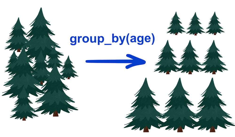 Image showing pine trees of different ages with an arrow showing that the group by function grouped them by age