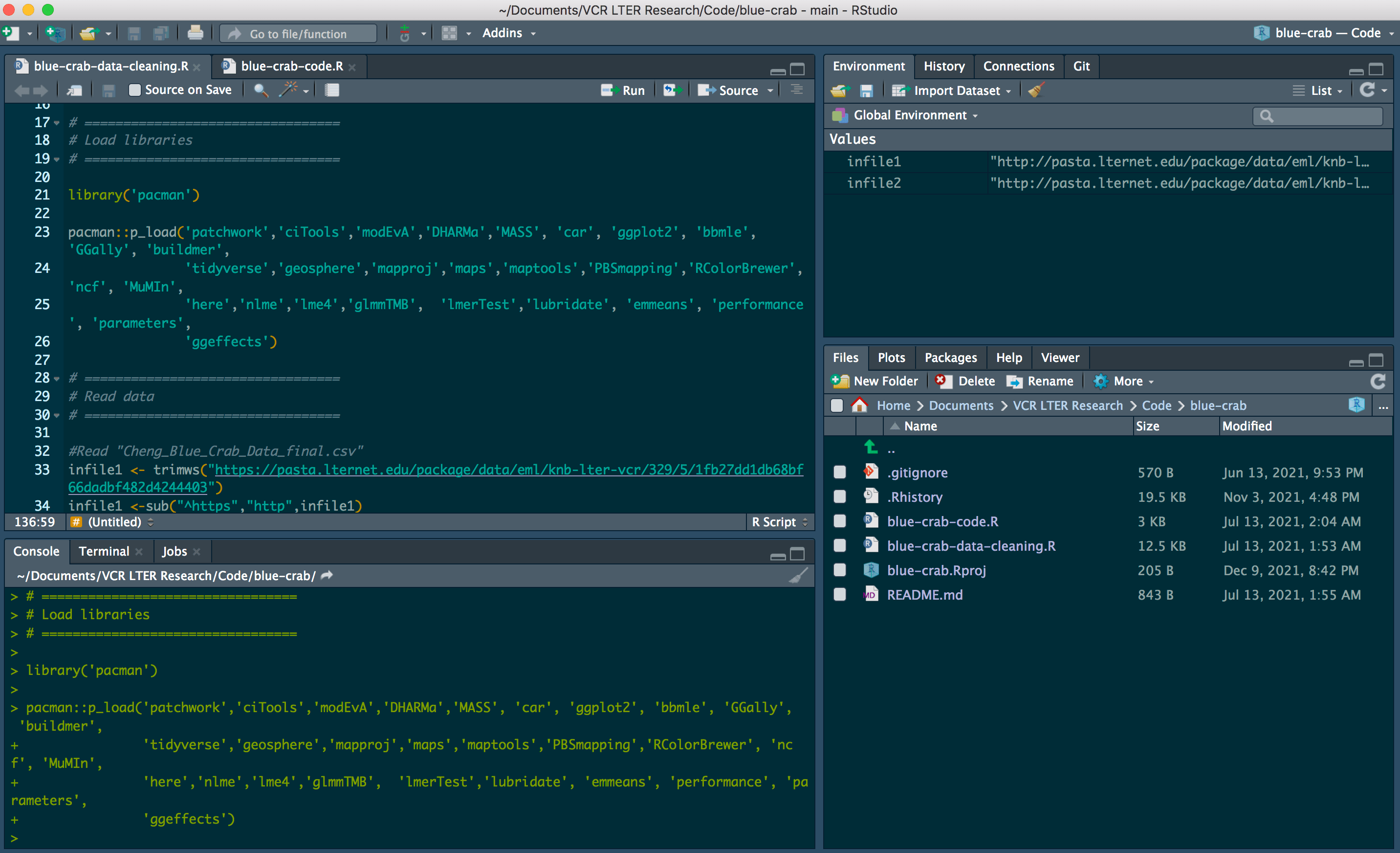 Image showing the RStudio console and its greater complexity and number of tools