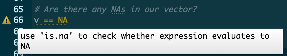 Image showing warning sign from R when typing vector equals sign equals sign NA