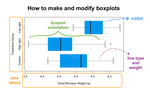 How to make a boxplot in R