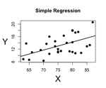 How to do a simple linear regression in R