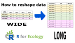 How to reshape your data in R for analysis