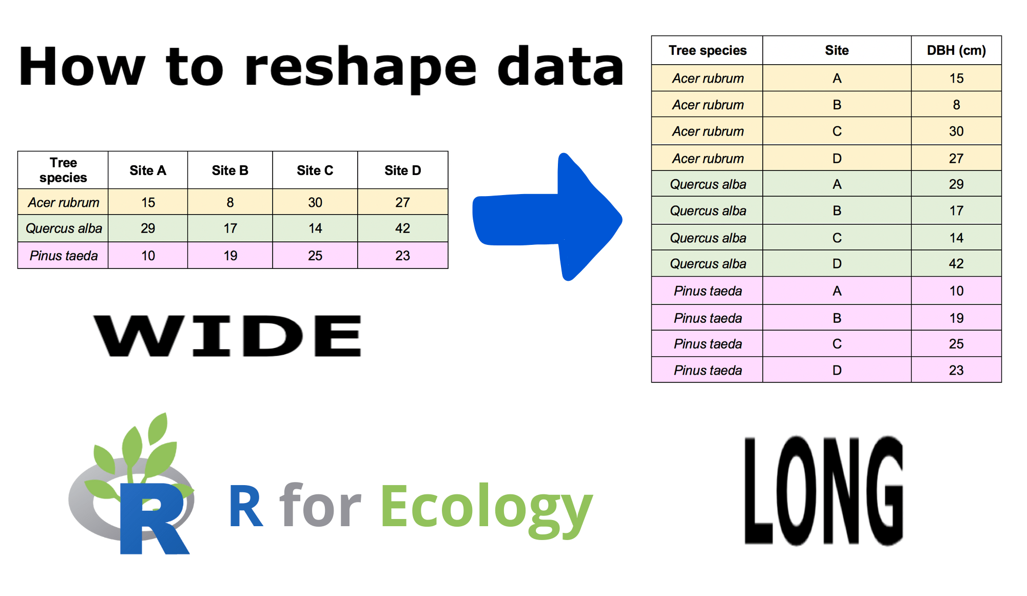 Image saying 'How to reshape data' showing a table in wide format turning into a long format table