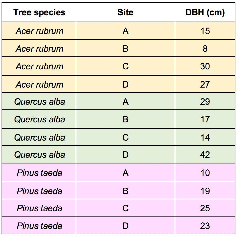 A table with the same tree species, measurements, and sites, but now formatted so that each measurement for DBH represents unique rows.