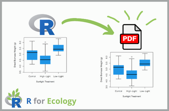 Image showing a figure in R turning into a PDF figure