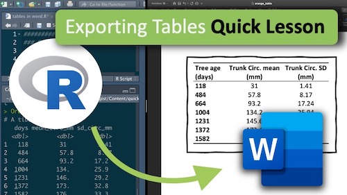 “Video thumbnail of tutorial on exporting a dataframe from R into a table in MS Word”